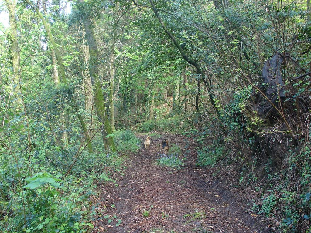 Quinta De Pindela - Natureza E Tradicao Vila Nova de Famalicão Exterior foto