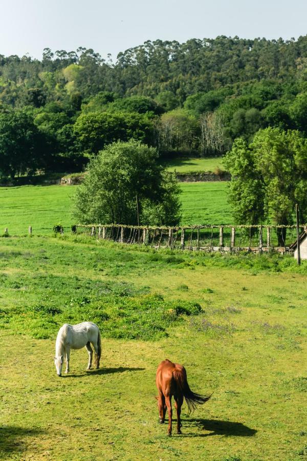 Quinta De Pindela - Natureza E Tradicao Vila Nova de Famalicão Exterior foto